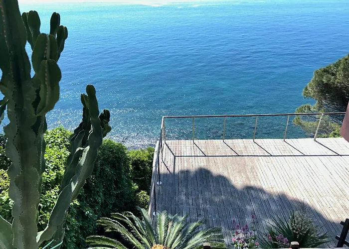 Lile Dazur * Arenzano